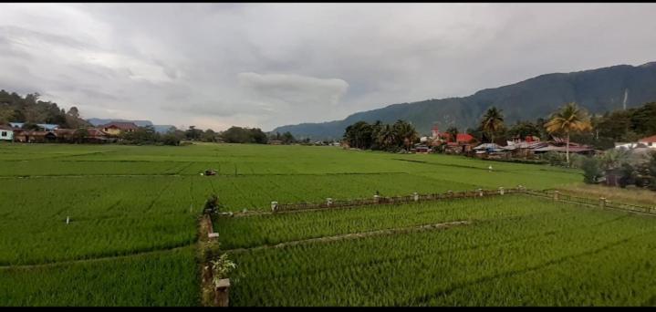 Toba Boi Otel Tuk Tuk Dış mekan fotoğraf